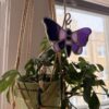 Butterfly Suncatcher - Purple/Pink