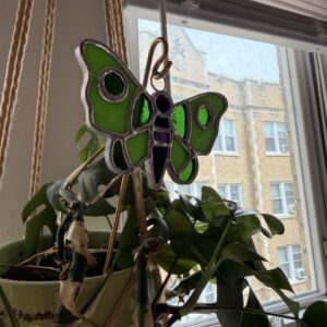 Butterfly Suncatcher - Green